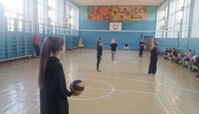 Матчевая встреча по волейболу 