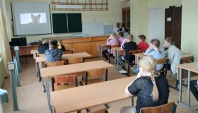 Просмотр фильма "Пальма"