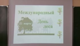 Международный день леса