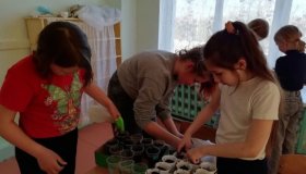 Акция экодар "Цветы детям войны"