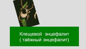 Внимание: сезон клещей!