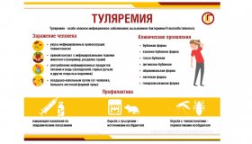 Памятка по профилактике туляремии