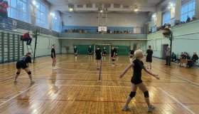 Серебряный мяч