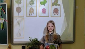 Занятие "Вершки и корешки"
